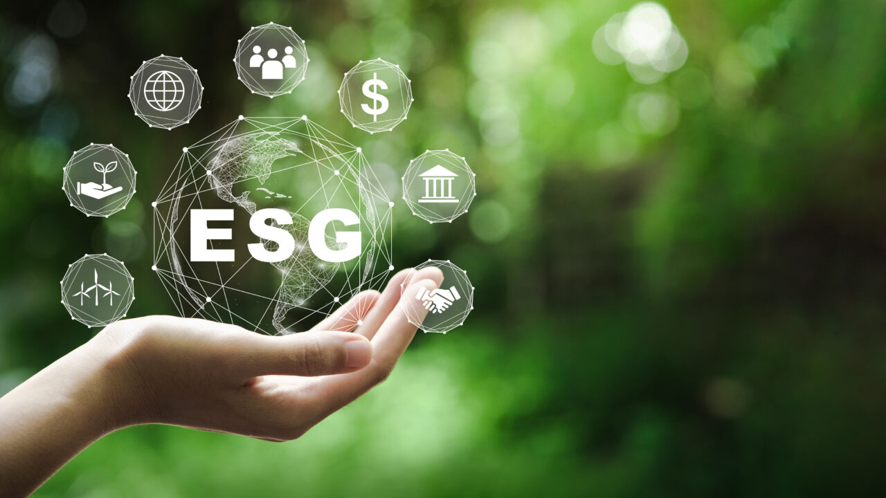 ESG Yönetimi
